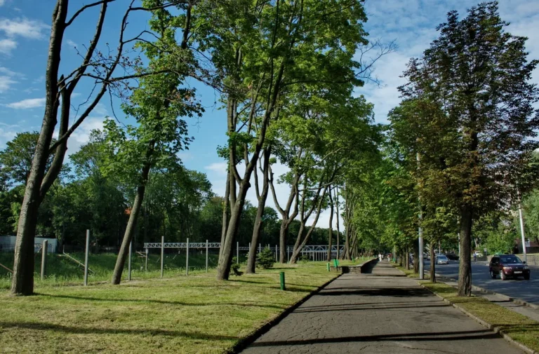 Гвардейский проспект