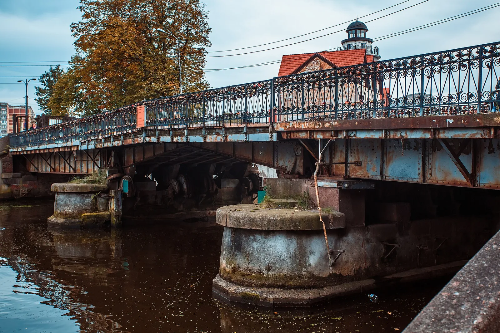 Фото: «Медовый мост»